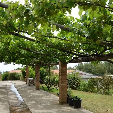 Apartamento Borgo Piazza Borgia