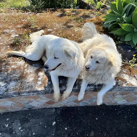 Borgo Piazza * Borgia