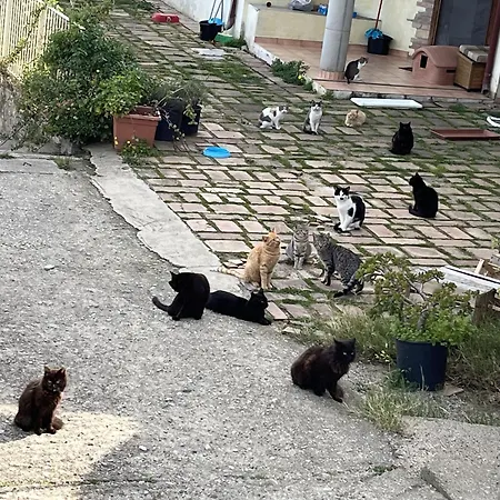 Borgo Piazza アパート *