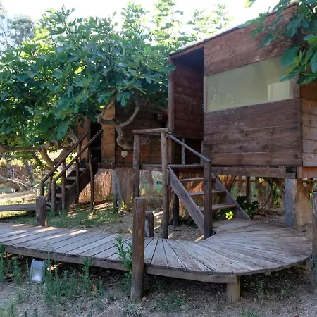 דירה Borgo Piazza *