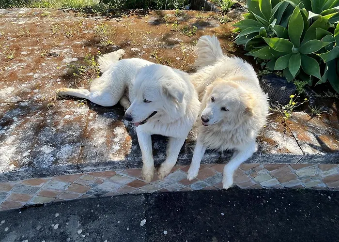 Borgo Piazza * Borgia