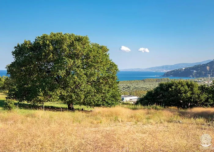 Appartamento Borgo Piazza *