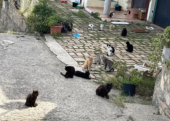 Borgo Piazza Apartamento *